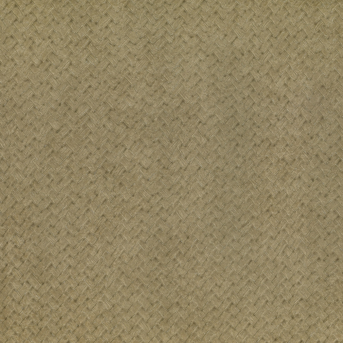 CESTO 01